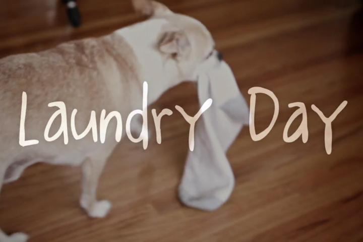Laundry_Day